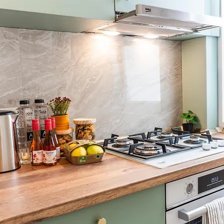 Feel The Paris With C&a - By Openhouse Apartment Timişoara