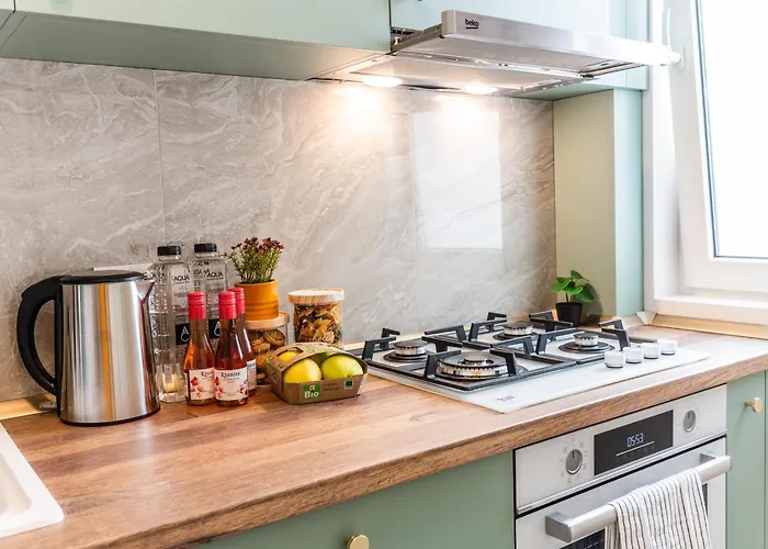 Feel The Paris With C&a - By Openhouse Apartament Timişoara