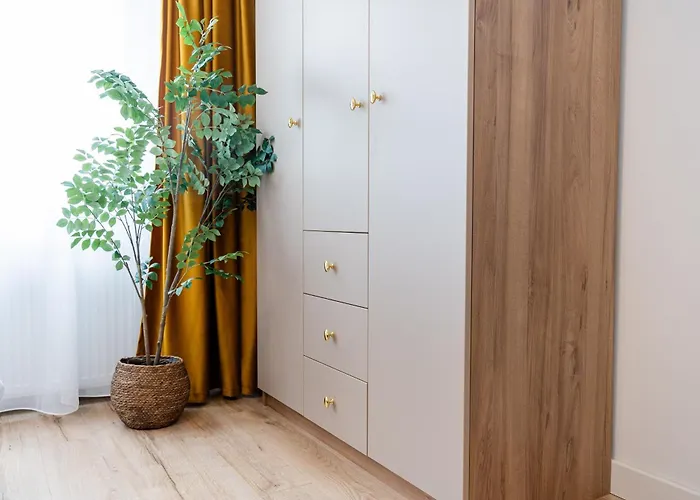 Feel The Paris With C&a - By Openhouse Apartament Timişoara